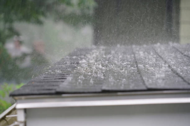 Gutter Replacement in Mount Pleasant, NC