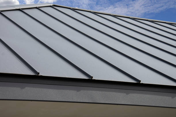 Best Skylight Installation and Repair  in Mount Pleasant, NC